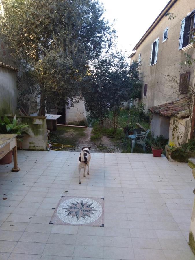 Casa Vacanza Zia Ersilia Rotondi Kültér fotó