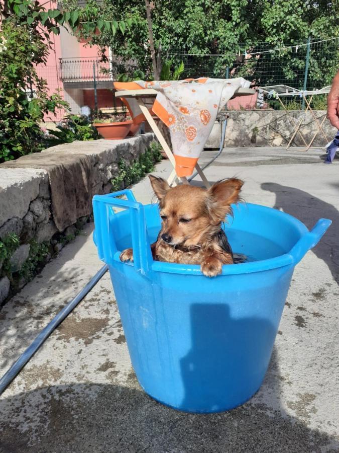 Casa Vacanza Zia Ersilia Rotondi Kültér fotó