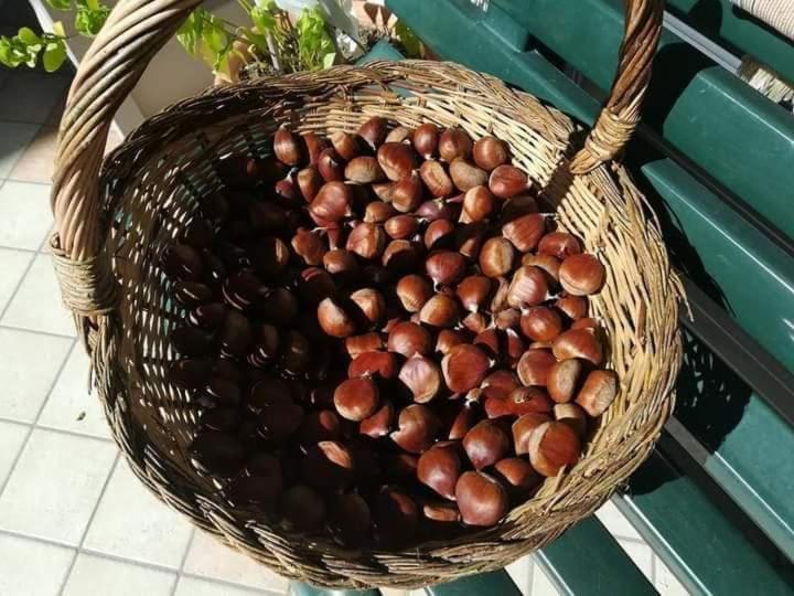 Casa Vacanza Zia Ersilia Rotondi Kültér fotó