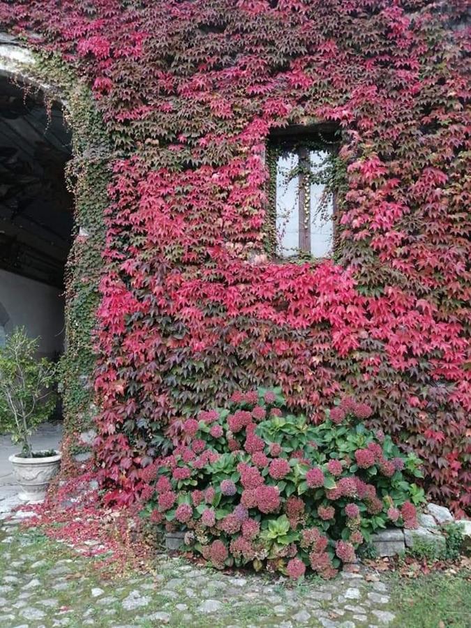 Casa Vacanza Zia Ersilia Rotondi Kültér fotó